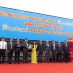 Đẩy Mạnh Xuất Khẩu Chính Ngạch Sang Trung Quốc: Nâng Cao Chất Lượng Và Truy Xuất Nguồn Gốc