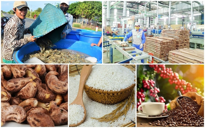 Khai Thác Tiềm Năng Thị Trường Châu Phi Cho Hàng Xuất Khẩu Việt Nam