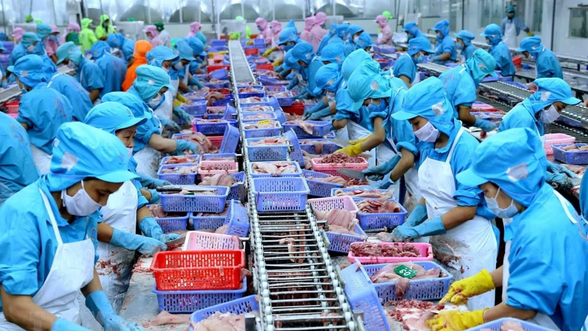 Khai Thác Tiềm Năng Thị Trường Châu Phi Cho Hàng Xuất Khẩu Việt Nam