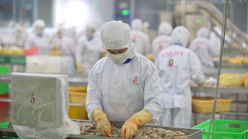 Khai Thác Tiềm Năng Thị Trường Châu Phi Cho Hàng Xuất Khẩu Việt Nam