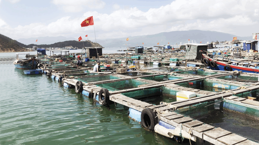 Thủy Sản Việt Nam Trên Bản Đồ Thế Giới: Cơ Hội, Thách Thức Và Giải Pháp
