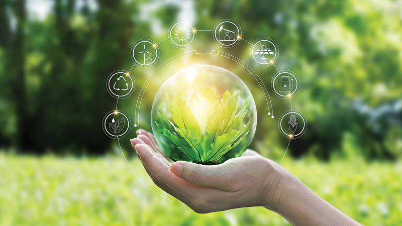 Xuất Khẩu Việt Nam 2025: Những Xu Hướng Nổi Bật Sau Đại Dịch