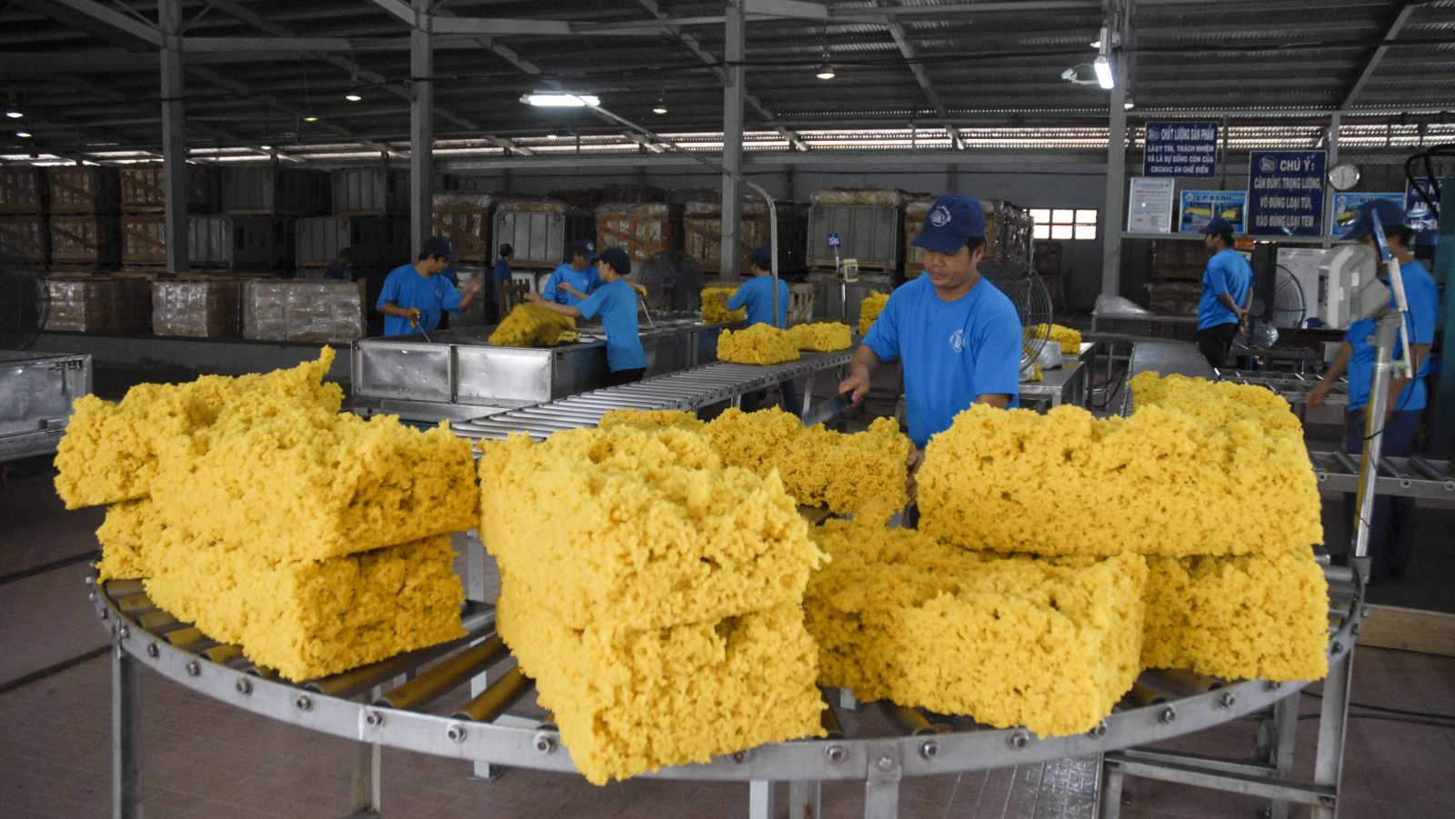 Phát Triển Ngành Cao Su Bền Vững Để Ổn Định Nguồn Cung Và Giá Trị Xuất Khẩu