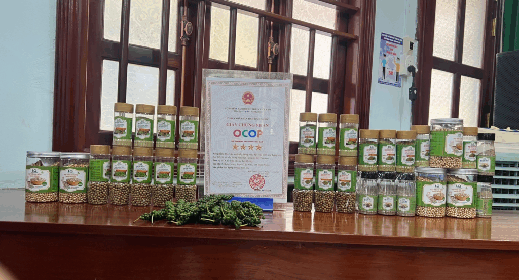 Chuyển Đổi Sang Sản Xuất Hồ Tiêu Sạch, Hữu Cơ Nhằm Nâng Cao Giá Trị Xuất Khẩu