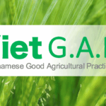 Vietgap – Bước Đệm Chứng Nhận Giúp Nâng Cao Nông Sản Việt Trên Thị Trường Quốc Tế