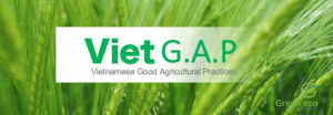Vietgap – Bước Đệm Chứng Nhận Giúp Nâng Cao Nông Sản Việt Trên Thị Trường Quốc Tế