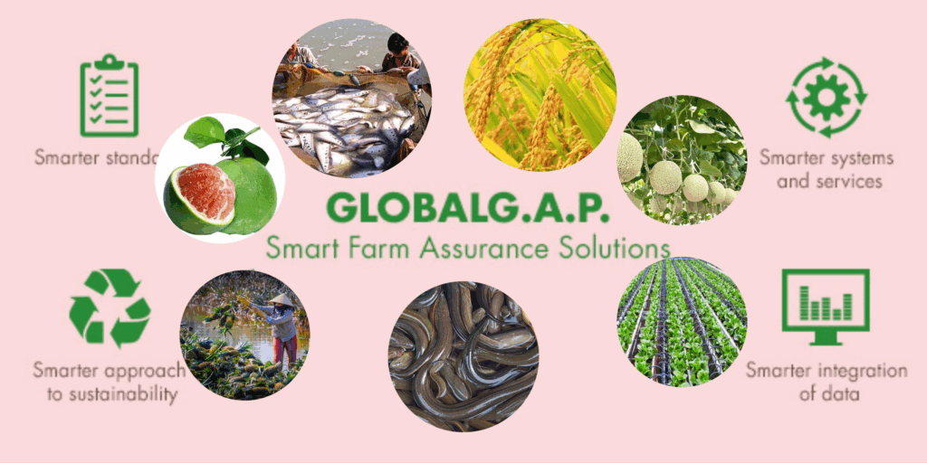 Chứng Nhận Globalgap Là Gì? Vì Sao Quan Trọng Khi Xuất Khẩu Nông Sản?
