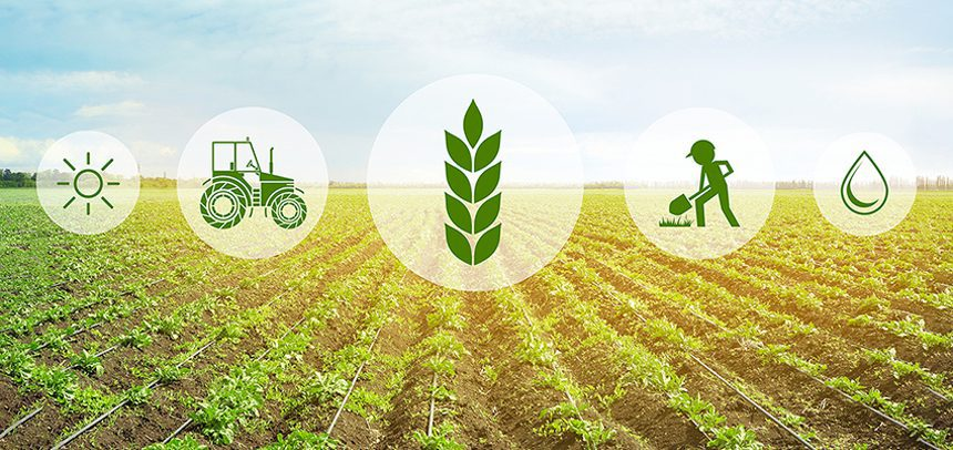 Chứng Nhận Globalgap Là Gì? Vì Sao Quan Trọng Khi Xuất Khẩu Nông Sản?