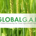 Chứng Nhận Globalgap Là Gì? Vì Sao Quan Trọng Khi Xuất Khẩu Nông Sản?