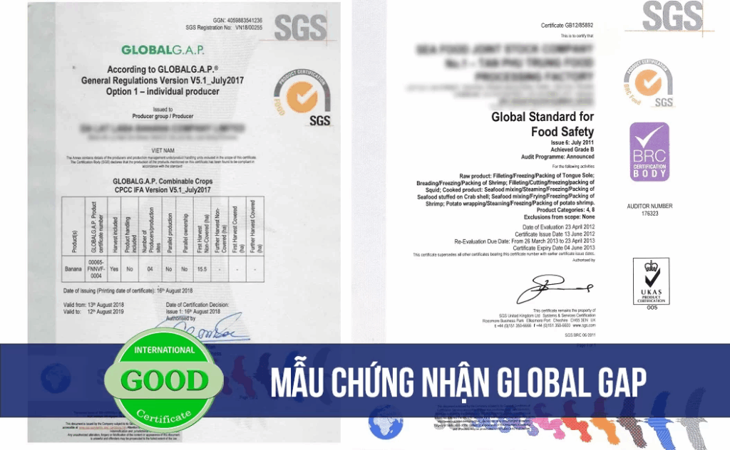 Đáp Ứng Tiêu Chuẩn Globalgap Và Vietgap: Chìa Khóa Mở Rộng Thị Trường Cho Trái Cây Việt Nam