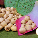 Thị Trường Xuất Khẩu Sen – Sản Phẩm Vải Lụa Sen, Hạt Sen, Trà Sen, Lá Sen