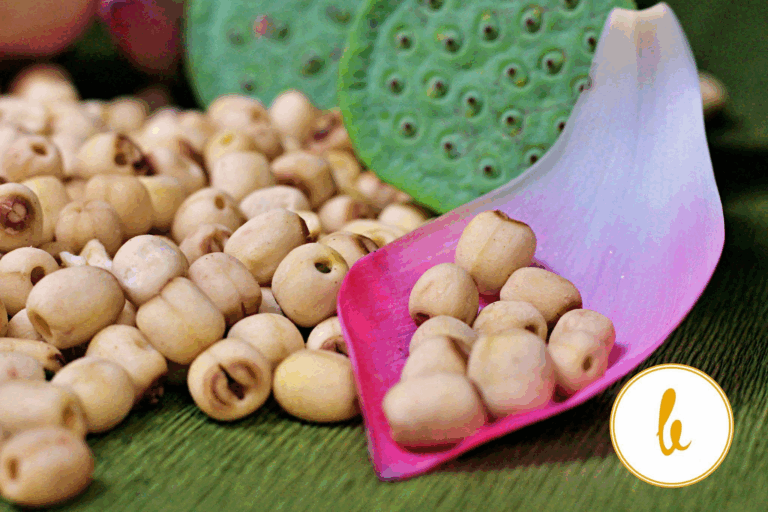 Thị Trường Xuất Khẩu Sen – Sản Phẩm Vải Lụa Sen, Hạt Sen, Trà Sen, Lá Sen